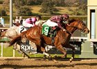 Hear the Ghost catches Flashback late to win the San Felipe.