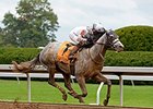 Race Day sold for $285,000 Nov. 11 at the Keeneland November breeding stock sale.<br><a target="blank" href="http://photos.bloodhorse.com/AtTheRaces-1/At-the-Races-2014/i-jkZ4bBH">Order This Photo</a>
