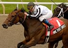 Mine That Bird powers home in the Grey Stakes.