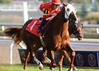 Last year's Neartic winner Field Commission faces 11 challengers in 2010.