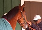 Kevin Krigger with Goldencents at Pimlico
