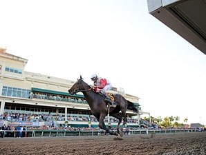 Orb Bounces Out of His Florida Derby Victory Orb Bounces Out of His Florida Derby Victory