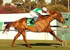 Seek Again wins the Hollywood Derby.