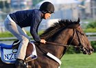 Dialed In<br><a target="blank" href="http://www.bloodhorse.com/horse-racing/photo-store?ref=http%3A%2F%2Fpictopia.com%2Fperl%2Fgal%3Fprovider_id%3D368%26ptp_photo_id%3D9515436%26ref%3Dstory">Order This Photo</a>