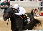 Take Charge Indy