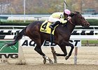 New York Stallion Series On Tap at Aqueduct New York Stallion Series On Tap at Aqueduct