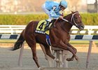 Haynesfield pulls away to take the Discovery.<br><a target="blank" href="http://www.bloodhorse.com/horse-racing/photo-store?ref=http%3A%2F%2Fpictopia.com%2Fperl%2Fgal%3Fprovider_id%3D368%26ptp_photo_id%3D8646330%26ref%3Dstory">Order This Photo</a>