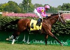 Jefferson Cup winner Tizdejavu is the favored in the American Derby.<br><a target="blank" href="http://www.bloodhorse.com/horse-racing/photo-store?ref=http%3A%2F%2Fpictopia.com%2Fperl%2Fgal%3Fprovider_id%3D368%26ptp_photo_id%3D4832363%26ref%3Dstory">Order This Photo</a>