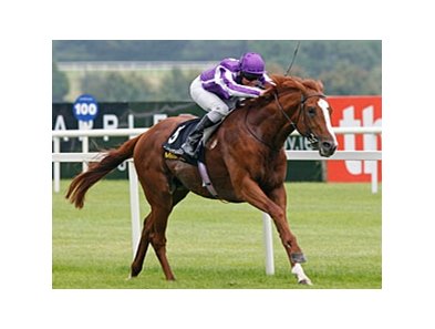 Cape Blanco is all alone at the finish of the Tattersalls Millions Irish Champion Stakes.<br><a target="blank" href="http://www.bloodhorse.com/horse-racing/photo-store?ref=http%3A%2F%2Fpictopia.com%2Fperl%2Fgal%3Fprovider_id%3D368%26ptp_photo_id%3D9170275%26ref%3Dstory">Order This Photo</a>