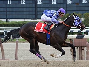 Eightyfiveinafifty Targeting Woody Stephens Eightyfiveinafifty Targeting Woody Stephens