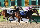 Zardana winning the New Orleans Ladies Stakes.