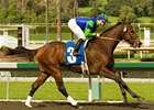 Undefeated Rail Trip tries graded stakes company for the first time in the Mervyn LeRoy Handicap.