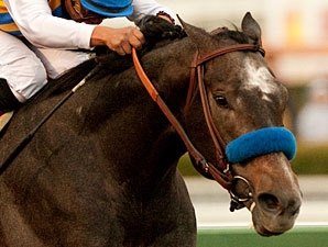 Baffert Targets Sunland Derby for The Factor Baffert Targets Sunland Derby for The Factor
