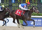 Tepin pulls away from Badnah late to win the Delta Princess Stakes.