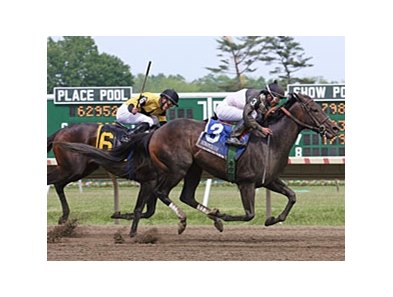 Congressional Page, who won the Decathlon Stakes in 2010, is among the entries in this year's version on opening day at Monmouth.