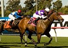 Medaglia d'Amour wins her stakes debut in the Wilshire Handicap.<br><a target="blank" href="http://www.bloodhorse.com/horse-racing/photo-store?ref=http%3A%2F%2Fpictopia.com%2Fperl%2Fgal%3Fprovider_id%3D368%26ptp_photo_id%3D8944599%26ref%3Dstory">Order This Photo</a>