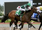 El Brujo will try to win his first stakes in Woodbine's Coronation Futurity.