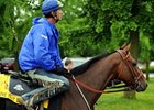 Mine That Bird<br><a target="blank" href="http://www.bloodhorse.com/horse-racing/photo-store?ref=http%3A%2F%2Fpictopia.com%2Fperl%2Fgal%3Fprovider_id%3D368%26ptp_photo_id%3D8202151%26ref%3Dstory">Order This Photo</a>