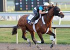 Mucho Macho Man worked five furlongs in :58 3/5 the morning of Jan. 5.
<br><a target="blank" href="http://photos.bloodhorse.com/AtTheRaces-1/at-the-races-2013/27257665_QgCqdh#!i=2306180647&k=bGxNNtf">Order This Photo</a>