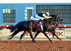 Global Stage and Forest Mouse finished 1-2 in the Veteran Stakes at Zia Park.
