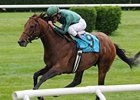 Gio Ponti won last year's Man o' War by 1 3/4-lengths.<br><a target="blank" href="http://www.bloodhorse.com/horse-racing/photo-store?ref=http%3A%2F%2Fpictopia.com%2Fperl%2Fgal%3Fprovider_id%3D368%26ptp_photo_id%3D8330636%26ref%3Dstory">Order This Photo</a>