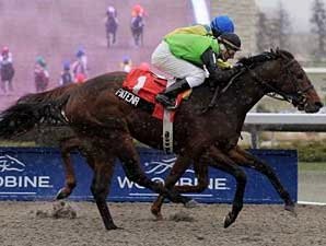 Patena to La. Derby; Old Fashioned Works Patena to La. Derby; Old Fashioned Works