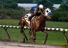 Blue Dancer Steps Up to Canadian Derby Blue Dancer Steps Up to Canadian Derby