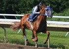 Belmont Stakes winner Summer Bird with exercise rider Leo Atempa, works out July 6 at Monmouth Park.