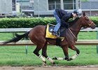 Mine That Bird breezed 4 furlongs at Churchill Downs on May 11.