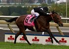 Joshua Tree wins the Pattison Canadian International.