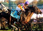 Breeders' Cup Chat: BC Wrap & HOY Debate Breeders' Cup Chat: BC Wrap & HOY Debate