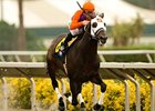 Temple City is home free in the Cougar II.<br><a target="blank" href="http://www.bloodhorse.com/horse-racing/photo-store?ref=http%3A%2F%2Fpictopia.com%2Fperl%2Fgal%3Fprovider_id%3D368%26ptp_photo_id%3D9124230%26ref%3Dstory">Order This Photo</a>