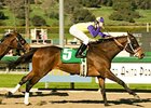 Final Fling sweeps to an upset win in the Santa Ysabel Stakes.<br><a target="blank" href="http://www.bloodhorse.com/horse-racing/photo-store?ref=http%3A%2F%2Fpictopia.com%2Fperl%2Fgal%3Fprovider_id%3D368%26ptp_photo_id%3D3286482%26ref%3Dstory">Order This Photo</a>