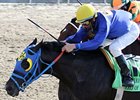 Hero of Order in the Louisiana Derby.