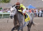 Graydar won the Donn Handicap on Feb. 9.<br><a target="blank" href="http://photos.bloodhorse.com/AtTheRaces-1/at-the-races-2013/27257665_QgCqdh#!i=2357990522&k=pGkQBsk">Order This Photo</a>