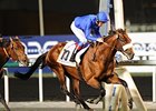 Opinion Poll Wins Ill-fated Dubai Gold Cup Opinion Poll Wins Ill-fated Dubai Gold Cup