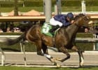 Mr. Commons returns to the turf in the Oceanside.<br><a target="blank" href="http://www.bloodhorse.com/horse-racing/photo-store?ref=http%3A%2F%2Fpictopia.com%2Fperl%2Fgal%3Fprovider_id%3D368%26ptp_photo_id%3D9442396%26ref%3Dstory">Order This Photo</a>