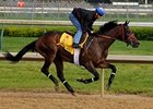 Bob Black Jack Works Half in :48 3/5 Bob Black Jack Works Half in :48 3/5