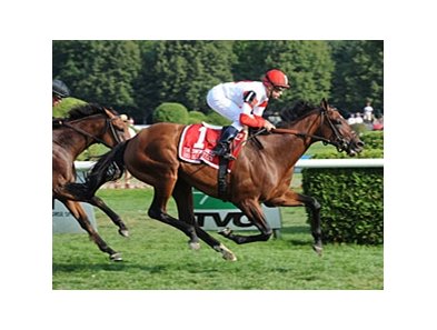 Big Blue Kitten is trained by Chad Brown.
<br><a target="blank" href="http://photos.bloodhorse.com/AtTheRaces-1/at-the-races-2013/27257665_QgCqdh#!i=2706549659&k=qFh7sKw">Order This Photo</a>