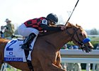 Lilacs and Lace upsets the Ashland at 48-1.<br><a target="blank" href="http://www.bloodhorse.com/horse-racing/photo-store?ref=http%3A%2F%2Fpictopia.com%2Fperl%2Fgal%3Fprovider_id%3D368%26ptp_photo_id%3D9484047%26ref%3Dstory">Order This Photo</a>