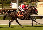 Acclamation wins the Clement L. Hirsch Turf Championship