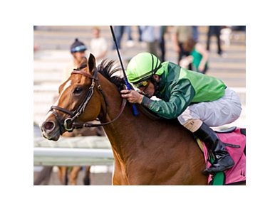 Bay to Bay won the American One Thousand Guineas at Arlington Park in her most recent start.