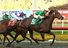 Midnight Ballet winning the Sharp Cat Stakes.