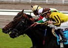 Proudinsky (middle, green and white silks) gets his nose in front of El Caballo and Nownownow to win the Mervyn Muniz Jr. Memorial Handicap.