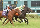 Lochte Triumphs in Tampa Bay Thriller Lochte Triumphs in Tampa Bay Thriller