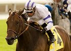 Mr Gruff and Joel Rosario roll down the hill in the San Simeon.<br><a target="blank" href="http://www.bloodhorse.com/horse-racing/photo-store?ref=http%3A%2F%2Fpictopia.com%2Fperl%2Fgal%3Fprovider_id%3D368%26ptp_photo_id%3D8896388%26ref%3Dstory">Order This Photo</a>