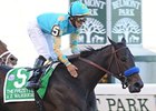 A Z Warrior was a grade I winner in 2010.<br><a target="blank" href="http://www.bloodhorse.com/horse-racing/photo-store?ref=http%3A%2F%2Fpictopia.com%2Fperl%2Fgal%3Fprovider_id%3D368%26ptp_photo_id%3D9226136%26ref%3Dstory">Order This Photo</a>