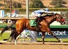 Goldencents comes home strong to win the Santa Anita Derby.