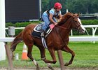 Shackleford is among those nominated to the Clark Handicap.