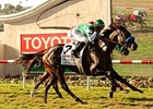 Del Mar Oaks: Lady of Shamrock Mows 'Em Down Del Mar Oaks: Lady of Shamrock Mows 'Em Down